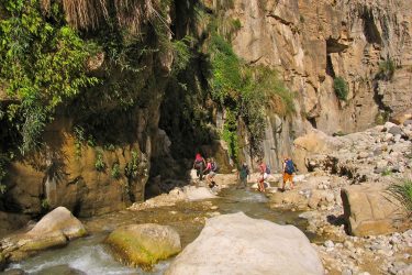 Wandelreis Jordanië: Jerash, kloven, Petra & Wadi Rum | Snow Leopard (18)