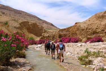 Wandelreis Jordanië: Jerash, kloven, Petra & Wadi Rum | Snow Leopard (24)