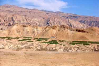 Wandelreis Jordanië: Jerash, kloven, Petra & Wadi Rum | Snow Leopard (25)