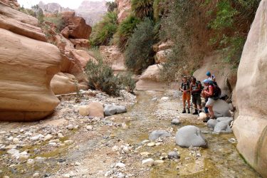 Wandelreis Jordanië: Jerash, kloven, Petra & Wadi Rum | Snow Leopard (32)