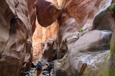 Wandelreis Jordanië: Jerash, kloven, Petra & Wadi Rum | Snow Leopard (38)