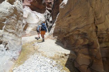 Wandelreis Jordanië: Jerash, kloven, Petra & Wadi Rum | Snow Leopard (45)