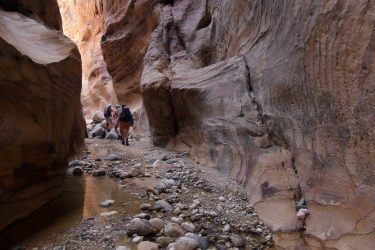 Wandelreis Jordanië: Jerash, kloven, Petra & Wadi Rum | Snow Leopard (47)