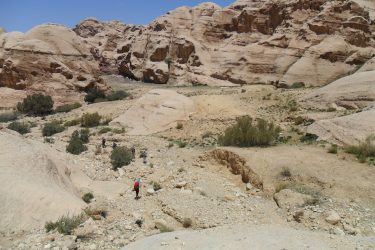 Wandelreis Jordanië: Jerash, kloven, Petra & Wadi Rum | Snow Leopard (55)