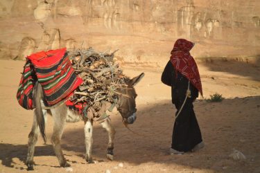 Wandelreis Jordanië: Jerash, kloven, Petra & Wadi Rum | Snow Leopard (57)