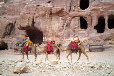 Wandelreis Jordanië: Jerash, kloven, Petra & Wadi Rum | Snow Leopard (62)