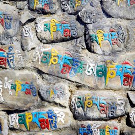Mani muur cultuur nepal alg | Snow Leopard (1)