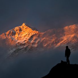 Trektocht Makalu basiskamp Himalaya Tumlingtar Nepal | Snow Leopard (5)