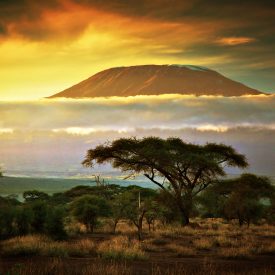 Kilimanjaro (Northern Circuit)