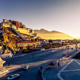 Reis Tibet Lhasa Potala Shigatse Gyantse Everest cultuur trektocht | Snow Leopard (17)