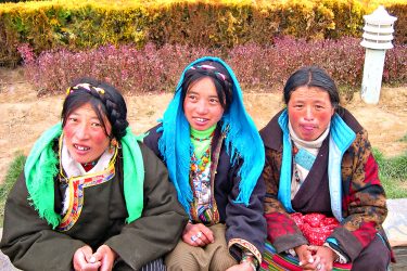 Reis Tibet Lhasa Potala Shigatse Gyantse Everest cultuur trektocht | Snow Leopard (8)