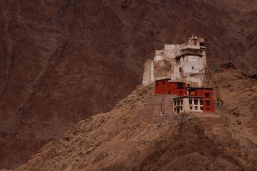 Reis trektocht Ladakh Leh Hemis Lamayuru Khardung La Shey Alchi Pangong Tso Nubra | Snow Leopard (02)
