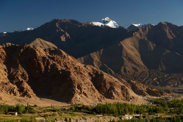 Reis trektocht Ladakh Leh Hemis Lamayuru Khardung La Shey Alchi Pangong Tso Nubra | Snow Leopard (21)