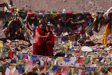 Reis trektocht Ladakh Leh Hemis Lamayuru Khardung La Shey Alchi Pangong Tso Nubra | Snow Leopard (26)