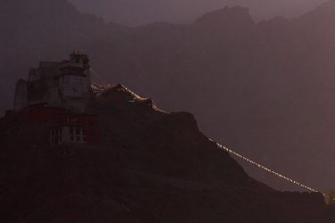 Reis trektocht Ladakh Leh Hemis Lamayuru Khardung La Shey Alchi Pangong Tso | Snow Leopard (31)