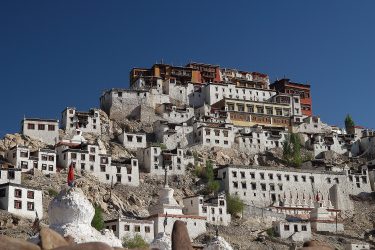 Reis trektocht Ladakh Leh Hemis Lamayuru Khardung La Shey Alchi Pangong Tso | Snow Leopard (32)