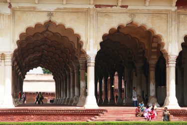 agra jaipur keoladeo Reis New Delhi Delhi Rajasthan Mandawa Pushkar Jaipur Agra Taj Mahal | Snow Leopard (11)