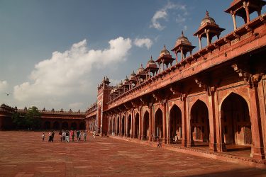 agra jaipur keoladeo Reis New Delhi Delhi Rajasthan Mandawa Pushkar Jaipur Agra Taj Mahal | Snow Leopard (04)