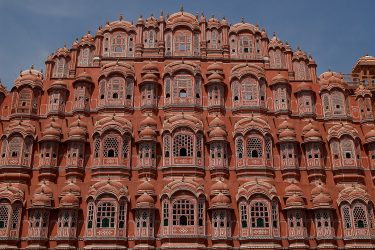 jaipur keoladeo Reis New Delhi Delhi Rajasthan Mandawa Pushkar Jaipur Agra Taj Mahal | Snow Leopard (01)