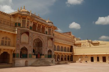 jaipur keoladeo Reis New Delhi Delhi Rajasthan Mandawa Pushkar Jaipur Agra Taj Mahal | Snow Leopard (02)