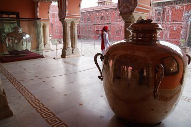 jaipur keoladeo Reis New Delhi Delhi Rajasthan Mandawa Pushkar Jaipur Agra Taj Mahal | Snow Leopard (05)