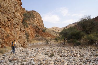 Wandelreis Namibië Etosha Windhoek woestijn sossusvlei | Snow Leopard 13