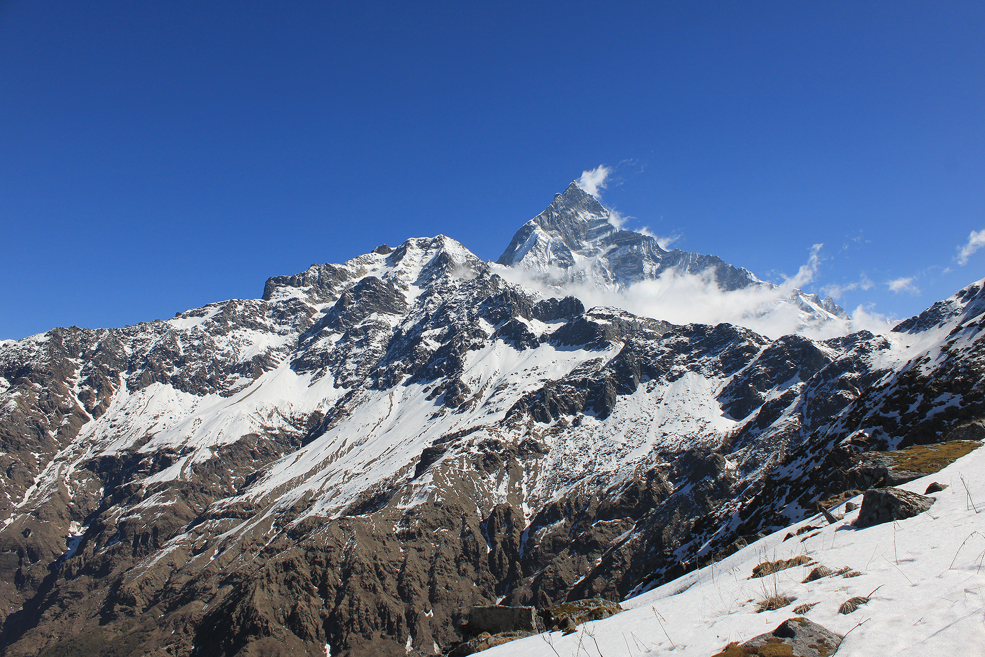 Mardi Himal trektocht en/of beklimming kort (Annapurna, Nepal) | Schmaal | Snow Leopard (10)