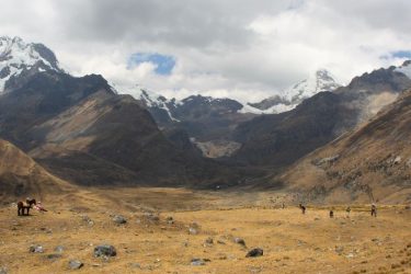 Trektocht Cordillera Blanca Alpamayo Peru | Snow Leopard (26)