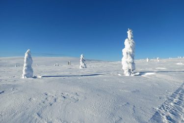 Sneeuwschoenwandelen reis Lapland Poolcircel Finland | Snow Leopard (07)
