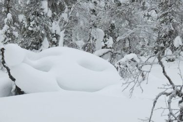 Sneeuwschoenwandelen reis Lapland Poolcircel Finland | Snow Leopard (10)