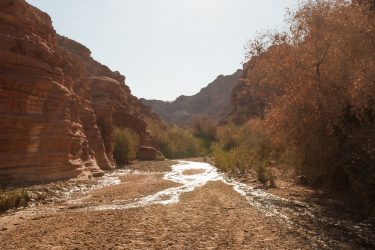 Wandelreis Jordanië Woestijn Petra Wadi Rum | Snow Leopard (01)