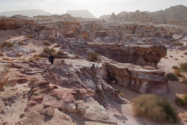 Wandelreis Jordanië Woestijn Petra Wadi Rum | Snow Leopard (20)