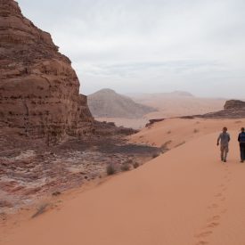 Wandelreis Jordanië Woestijn Petra Wadi Rum | Snow Leopard (29)