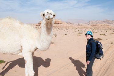 Wandelreis Jordanië Woestijn Petra Wadi Rum | Snow Leopard (37)