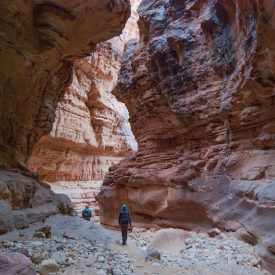 Wandelreis Jordanië Woestijn Petra Wadi Rum | Snow Leopard (78)