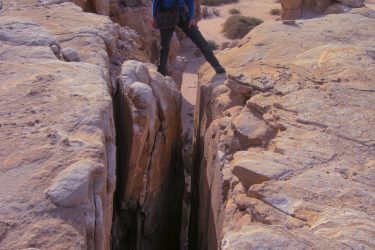 Wandelreis Jordanië Woestijn Petra Wadi Rum | Snow Leopard (88)