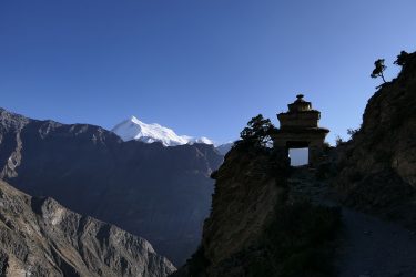Trektocht Upper Dolpo Inner Mu La Dunai Do Nepal | Snow Leopard (25)
